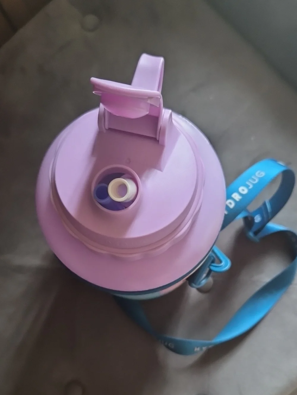 HydroJug Pink Lavender Blue Insulated Water Bottle Carrier with Straws and Lid